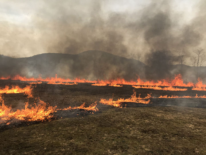 Marsh Creek controlled burn